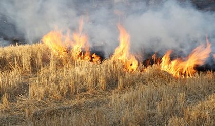 Anız yakmak geleceğimizi yakmaktır
